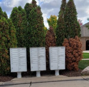 Read more about the article Shrub trim & replace at mailboxes